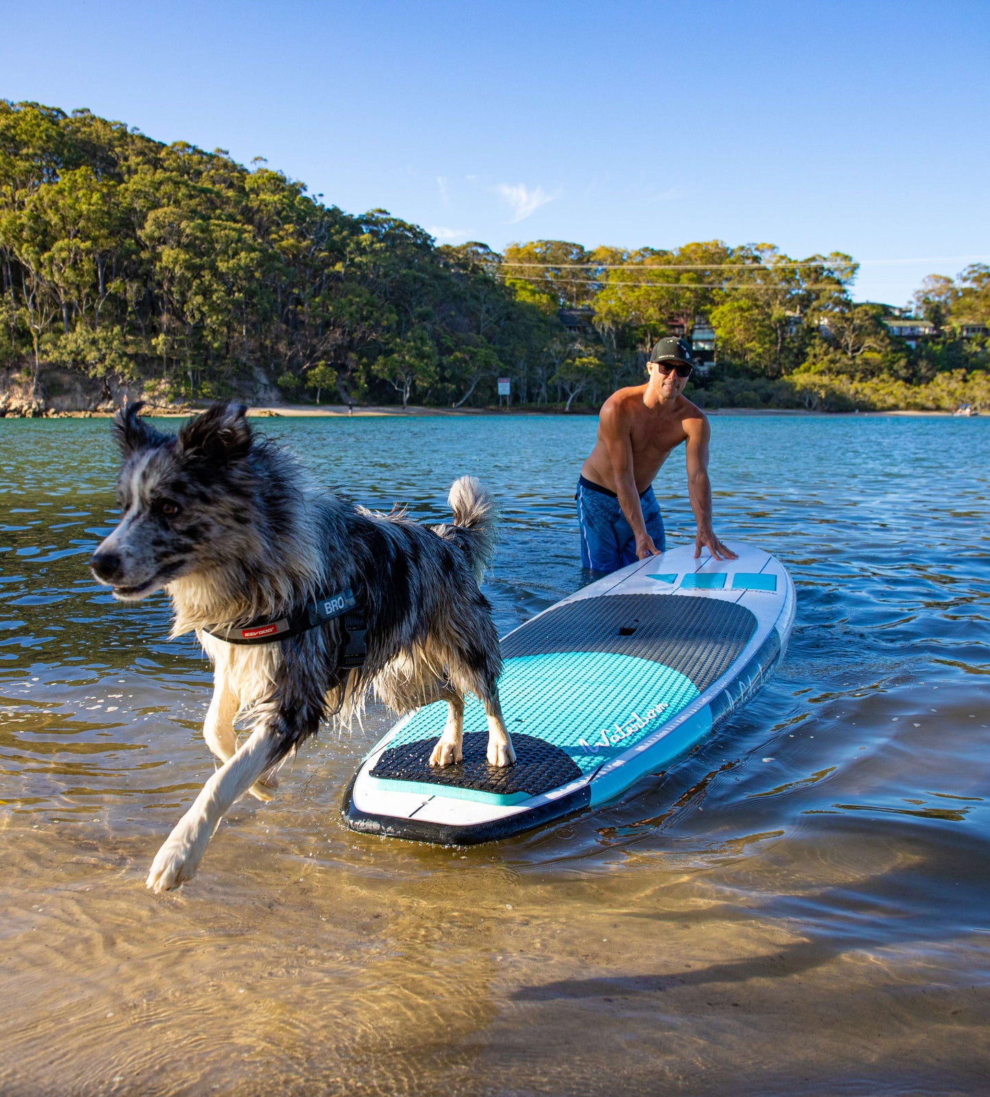 Sublime Stand Up Paddleboard - White/Blue 10'6