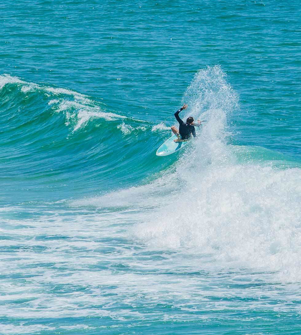 FLYING FISH - FUNBOARD - The Surfboard Warehouse Australia